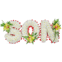 This dignified floral tribute spells SON in three sculpted, three-dimensional block letters made entirely of dense, snow-white chrysanthemums, each bloom placed to create a plush, even surface that reads like soft, respectful cloud. The letters are edged with a continuous band of vivid red ribbon folded into scalloped loops; the ribbon's satin shimmer frames the white letters with a bold, heartfelt accent that traditionally signifies love and remembrance. At thoughtful intervals-a lime-green Cymbidium orchid tucked into the upper left curve of the S, another nestled at the base of the O, and the third positioned on the upper right of the N-there are waxy, elegant orchids whose pale orange to reddish-brown throats add a gentle warmth to the cool greens and whites. Lush foliage and fine fern fronds surround and spill slightly beyond the letters, introducing soft vertical lines and a fresh, verdant texture that helps the tribute feel alive rather than static. The lighting is soft and even, making the white chrysanthemums glow quietly while the orchids' glossy petals catch a hint of light. Intended for a funeral or memorial, this piece conveys deep sympathy, love and personal remembrance for a son. Prepared with the kind of careful handwork we practice in Brent Cross Flowers' workshop near the shopping centre, it reads both as a professional commemorative design and as a personal gesture-one that families from Golders Green to Cricklewood might trust to express their most tender sentiments.