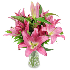 The composition reads like a small, floral portrait: a generous cluster of pink oriental lilies arranged to stand tall and proud in a plain, clear glass vase on a white surface. Many blossoms are fully open, their six broad, slightly reflexed petals forming star-like faces in saturated fuchsia and rosy pink tones that soften toward pale, creamy throats. There, a cool chartreuse-yellow halo graduates into soft white around the centre, while dark burgundy anthers perch on slender filaments, dusted with pollen and lending a painterly speckled texture. Scattered through the arrangement, several long, tapered buds-some tinged light pink, others a deeper magenta with green tips-suggest days of continued bloom and layered longevity. Glossy, lanceolate foliage and strong green stems create sculptural lines that contrast the petals' waxy softness, and the vase's transparency exposes the neatly cut stems and clean water, signalling professional handling and freshness. The studio's clean white backdrop and even lighting strip away distraction, allowing the tactile qualities-petal satin, leafy resilience, watery sheen-to come forward, as they might in a catalogue photographed by a florist serving Brent Cross and nearby Hendon. In scent and spirit the bouquet offers a bright, uplifting presence, suited equally to a birthday table, a heartfelt thank-you, or a quiet moment of domestic elegance. The overall mood is confident and refined, a crafted harmony of colour, form, and promise.