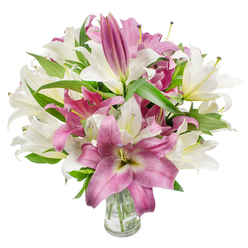 This image presents a generous cluster of oriental lilies in crisp white and saturated pinks, arranged with a confident, classic hand in a plain clear glass vase. A number of blooms are fully open, their broad, silky petals forming star- or trumpet-shaped silhouettes that frame delicate stamens with soft-coloured anthers; others remain elongated buds, promising more blossoms in the days ahead. The white varieties glow with a gentle creaminess and a hint of pale yellow at the throat, while the pinks move through shades of rose, magenta and fuchsia, some petals marked by subtle veins or a cream-tinged centre that adds visual depth. Deep green, lance-like leaves weave through the flowers, their cool tones contrasting the warm petal colours and lending the bouquet structure and movement. The transparent vase at the base reveals neatly trimmed stems and clear water, a quiet indicator of freshness and professional conditioning. The lighting is bright and even, picking out petal texture and the bouquet's sculptural lines while suggesting the lilies' soft, sweet fragrance-perfect for welcoming guests or marking special occasions. Speaking as a local florist familiar with Brent Cross, this style of bouquet is ideal for deliveries across nearby streets and shopping areas, from the Brent Cross Shopping Centre to quieter residential pockets, offering a timeless floral gift that reads as both celebratory and serenely elegant.