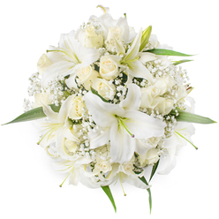 Captured in crisp top-down light on a white studio surface, this elegant round bouquet brings together pristine white lilies and creamy ivory roses with a refined, bridal sensibility. The lilies dominate the view with broad, trumpet-like petals and pale green stamens that give the centre a subtle, botanical highlight; nestled among them are small, compact rosebuds and partially opened roses whose layered petals form soft, concentric textures. Tiny clusters of white Baby's Breath are woven through the mass of flowers, their delicate pinprick blossoms adding an almost snowy filigree that softens the overall silhouette, while a scattering of deep green leaves offers cool contrast and frames the circular shape. The arrangement is dense yet airy, a careful balance of fullness and breathability achieved by thoughtful placement - a hallmark of an experienced florist preparing pieces for weddings, sympathy, or formal events. You can almost sense the mingled scent of lily sweetness and rose warmth, and the tactile mix of satiny lily petals, velvet rose spirals, and fragile Gypsophila. Crafted with local care in Brent Cross, this bouquet is the sort of classic design Brent Cross Flowers prepares for deliveries across the neighbourhood and to nearby areas such as Cricklewood and Hendon, presented to preserve its pristine appearance for the moment it is received.