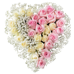 This photograph shows an elegant, heart-shaped funeral tribute composed entirely of roses and baby's breath, resting against a bright white background that lets its colours and textures speak clearly. The heart is strikingly divided into two halves, yet the overall impression is of one united symbol of love and remembrance. On the left side, creamy white and light butter-yellow roses are tightly clustered, forming a sea of soft, rounded blooms. Each rose is in full, fresh blossom, with smooth petals that unfurl gently, their pale tones suggesting purity, peace, and the calm of a life gently remembered. On the right, a matching cluster of medium pink roses adds a warmer note. These roses, just as densely packed, radiate a feeling of tenderness, gratitude, and affection, like memories of kind words and shared laughter around Brent Cross and the nearby communities. Threaded throughout both sections are airy sprigs of white gypsophila, or baby's breath. These tiny blossoms fill the gaps, soften transitions between colours, and create a delicate, cloud-like outline around the entire heart. The gypsophila adds lightness and texture, making the heart feel almost weightless, as though gently cradled in soft morning light over the rooftops and tree-lined streets near Brent Cross. The craftsmanship appears careful and deliberate, every stem placed so the heart remains perfectly symmetrical and full from edge to edge. This arrangement feels designed for a meaningful farewell-perhaps to rest on top of a coffin, accompany a photo display, or stand at the front of a memorial service in a local chapel-quietly expressing both the sadness of loss and the enduring love held by family and friends.