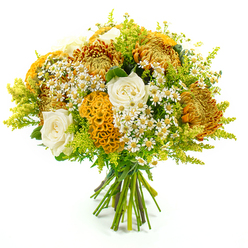 This bouquet, photographed upright against a clear white background, looks like a pocket of autumn sunlight hand-crafted by Brent Cross Flowers. The design has a domed, generous shape, composed of large chrysanthemums with spiky, narrow petals layered thickly in tones of deep golden yellow, rich burnt orange, and hints of russet brown. These striking blooms provide a textural backbone, their dense forms radiating warmth and energy. Nestled among them are creamy white roses, each one carefully opened so that the petals spiral inward in a graceful, velvety swirl, bringing softness and a refined, romantic note to the piece. Adding intrigue, yellow-orange celosia cockscomb flowers are tucked strategically into the bouquet, their plush, brain-like folds and coral-style ridges catching the light and introducing an unexpected yet harmonious texture. Threaded throughout are clusters of small, white-petalled, daisy-like flowers with sunny yellow centres, lending the arrangement a fresh, garden-picked feel, like blooms gathered from a hidden green space near Brent Cross Park or along the leafy residential streets. Feathered sprays of lime-green solidago and abundant foliage fill the gaps, wrapping the warmer colours in a bright, verdant frame that keeps the overall impression light rather than heavy. At the base, the long stems are cleanly gathered and bound with green florist's tape, emphasising the hand-tied nature and professional finish. The lighting is even and bright, revealing every detail of petal, leaf, and texture. Altogether, the bouquet evokes feelings of comfort, optimism, and seasonal richness, perfectly suited to marking a birthday, sending encouragement, or adding a sophisticated autumn highlight to homes and workplaces around Brent Cross.