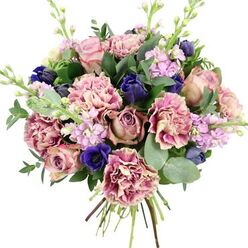 Captured in crisp, even light against a pure white background, this hand-tied bouquet feels like a moment of calm luxury, the sort of arrangement you might collect from a trusted local florist before meeting friends near Brent Cross Shopping Centre. The heart of the bouquet is composed of lush garden roses in romantic tones of blush pink, dusty mauve, and muted antique rose, their petals opening in soft spirals that reveal depth and subtle shading. Between them, an abundance of ruffled carnations brings a tactile richness; their layered petals graduate from creamy and pale at the centre to more vibrant rose, fuchsia, and plum at the tips, giving each flower the look of a miniature, textured landscape. Punctuating these gentle hues are deep indigo blossoms shaped like slender tulip buds, providing an elegant counterpoint that enhances the surrounding pinks and mauves. A standout royal blue anemone with a dark, inky centre rests near the front base of the arrangement, like a dramatic exclamation mark in the composition. Threaded through the bouquet, slim stalks of lilac and pale lavender stock carry clusters of small, delicate flowers that add vertical movement and a whisper of fragrance. The entire display is cradled by generous greenery: rounded, silvery eucalyptus leaves mingling with richer dark green foliage, their different shapes creating a flowing, natural border. At the bottom, the stems are visible and neatly tied, hinting at the bouquet's fresh, hand-crafted nature. This arrangement would suit a range of occasions across Brent Cross-from celebrating a promotion, to marking a milestone birthday, to sending quiet comfort to someone who needs a gentle reminder of beauty.