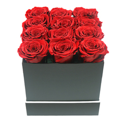 This image presents a refined, contemporary take on romantic flowers: a square black box, sleek and matte, filled tightly with twelve preserved red roses that look as though they could have been arranged by an expert florist just off Hendon Way in Brent Cross. Viewed straight on at eye level, the box forms a solid, grounding base, its crisp edges and smooth texture providing a quiet backdrop for the intensity of the blooms. Each rose is open to its fullest, petals closely packed and velvety, winding in detailed spirals from a shadowed centre to slightly lighter crimson outer edges. The flowers are positioned in an immaculate 3x4 pattern, shoulder to shoulder, so that the top of the arrangement resembles a rich, red tapestry with only the faintest undulation hinting at individual blooms. A single thin white stripe wraps horizontally around the lower portion of the box, adding a subtle graphical element that feels both modern and refined. The background is pure white and evenly lit, allowing the strong colour contrast between the deep black box and the ruby roses to command all attention. Soft, balanced lighting creates delicate shadows in the folds of the petals and along the sides of the container, enhancing dimension without overpowering the scene. The overall mood is one of controlled passion and lasting emotion, the type of arrangement chosen for a special anniversary dinner at home in Brent Cross, a chic Valentine's surprise for a partner, or a heartfelt apology that needs to feel both sincere and sophisticated. It suggests not just a moment of affection, but a sentiment meant to endure, much like the preserved roses themselves.