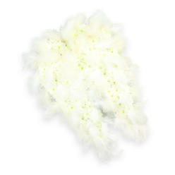 The image shows an exquisitely detailed angel wing funeral tribute, fashioned entirely in white and presented against a spotless white backdrop for maximum clarity and calm. Two wings touch gently at their inner edges, forming a soft, central cleft before tapering outward in a fluid, feather-like sweep. The interior of each wing is formed from hundreds of small, closely nestled white blooms-delicate chrysanthemums or spray carnations-that create a thick, cushion-like texture. Their petals overlap in subtle layers, giving the surface a gentle movement, while tiny hints of soft green and light yellow in the centers of certain flowers offer a quiet, natural contrast. Surrounding this floral heart, a border of airy white feathers runs along the outer edges and tips. The feathers look exceptionally soft and downy, with fine, fringed strands that catch the light and merge almost imperceptibly with the white background, heightening the sense of lightness and serenity. The lighting is bright and diffused, highlighting every texture without harsh glare, and a faint shadow beneath the design suggests gentle elevation. This composition feels especially suited to moments of remembrance, symbolizing purity, angelic guidance, and a peaceful passing. For families arranging a farewell in Brent Cross-perhaps near the shopping centre, along the Edgware Road, or in nearby Temple Fortune-an angel wing floral arrangement like this could rest near the coffin or beside a treasured photograph, offering a visual language of protection, loving memory, and the hope that their loved one is cradled in a calm, heavenly embrace.