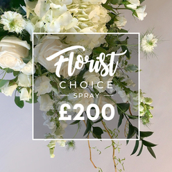 On a soft, sun-washed backdrop, this white-and-cream spray radiates calm and refinement. The arrangement leans into layered textures: plush hydrangea cushions, velvety white roses, and a dance of feathery astrantia. Wisps of pale greenery spill over the edge, while delicate tendrils curl and drift, evoking the cycle of seasons. Light catches the dew along a petal edge, a tiny sparkle that hints at early morning rituals in a Brent Cross florist studio. The composition rises and falls in gentle waves, with the frame's central white square lending a modern, clean stage where the script \"Florist Choice\" sweeps in script font, then \"SPRAY\" in uppercase, and the bold \"?200\" anchors the eye. It reads as a mindful gift-from a trusted local source, ideal for quiet condolences, a milestone, or a refined centerpiece for a ceremony. This image captures not only blooms, but the atmosphere of a craft-focused shop serving Brent Cross, Cricklewood, and Golders Green, promising freshness, reliable delivery, and a personal touch that signals years of experience in NW London floristry.