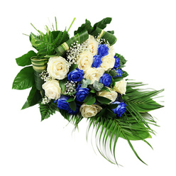 An elegant cascading spray of roses in deep blue and soft white is arranged diagonally across a pure white background, creating a distinct teardrop silhouette often chosen for dignified farewells in Brent Cross. The arrangement is built around roughly two dozen fully open roses, their rounded heads forming a rich, undulating surface. Half of the blooms are a saturated sapphire blue, their velvety petals forming tight swirls of colour, while the rest are creamy white or pale ivory, opening in gentle layers that catch the light. The blue and white roses are interspersed evenly, creating a calm, rhythmic pattern that feels both solemn and hopeful, like a quiet walk through nearby Brent Cross parks after a funeral service. Threads of white baby's breath run between the larger blooms, each tiny flower adding airiness and a soft, cloud-like veil over the stronger hues. A lush collar of greenery shapes and supports the spray. Broad, dark green leaves provide a glossy, substantial base, while bright green fern fronds lift away from the top left edge, adding feathery movement and volume. Long, slender palm fronds sweep from the lower right, their arched lines defining the cascading flow and drawing the eye gently downward. Bluish-green eucalyptus-style sprigs peek through the roses, offering cooler tones and varied leaf shapes that give the arrangement depth and nuance. Bands of variegated green-and-cream foliage or ribbon are folded into loops and coils, adding refined, structured accents that show the florist's craftsmanship. Captured in even studio light, every petal and leaf appears fresh and carefully placed. This spray communicates respect, remembrance, and a quiet sense of comfort, the sort of floral tribute a family might arrange through Brent Cross Flowers for a crematorium or chapel service nearby.