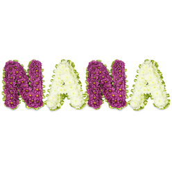 A three-dimensional floral tribute spells NANA in lovingly arranged letters, each one densely surfaced with hundreds of chrysanthemum-like flowers and set against a clean white backdrop that highlights texture and tone. The first and third letters are composed of rich magenta to plum chrysanthemums, their tiny yellow centres forming a subtle, sunlit freckling across the petals. The second and fourth letters are sculpted from creamy white chrysanthemums, a cool, serene foil to the vibrant purple. Every letter is edged with a bright lime-green trim-pleated ribbon or tightly packed foliage-that frames each character and introduces a fresh, hopeful accent to the overall ensemble. The close grouping of small flower heads gives the letters a soft, tactile quality; under soft morning or chapel light the petals glow and throw gentle shadows into the recessed spaces, enhancing the three-dimensional effect.

As a sympathy piece, this arrangement communicates both reverence and warmth. The purple blooms suggest devotion and remembrance, while the white evokes purity and calm; the green border softly assures continuity and life beyond loss. Imagine this tribute carried into a service, placed beside a coffin or at a graveside: its readable form and lush texture allow mourners to connect visually and emotionally, and the scent of chrysanthemums lends a quiet, comforting presence. Crafted with careful floral technique, the design honours a beloved grandmother-Nana-with clear lettering, thoughtful colour contrasts, and an artisanal finish that speaks of hands-on care and gentle remembrance.