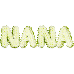 The tribute reading NANA is composed entirely of pristine white chrysanthemum heads, each letter formed from a dense, cloudlike mass of tiny petals that together create sculpted, softly rounded characters against a stark white background. A pleated, verdant green ribbon or closely clipped foliage frames each letter, cradling the white blooms and tracing their edges with a delicate, leaf-like outline that speaks of renewal and quiet life. The chrysanthemums' small florets build a textured surface that invites imagined touch - cool, velvety, and reassuring - while the green trim provides a crisp visual seam so the word remains readable from a distance. Lighting is bright and even, accentuating the three-dimensional depth and the freshness of every bloom; there is a faint, comforting scent suggested - the clean, slightly spicy perfume of chrysanthemums that grounds the arrangement in reality. As a florist who prepares tributes for families around Brent Cross and nearby Hendon, I regard this design as a classic expression of sympathy: dignified, gentle, and personal. It reads as both farewell and embrace, suitable for a memorial service or visitation where loved ones gather. The overall mood is peaceful and consoling - a tactile, luminous assembly that honours memory with simplicity, craftsmanship and the quiet dignity befitting a grandmother's remembrance.