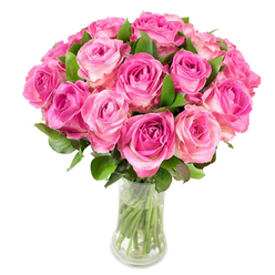 This image captures a generous cluster of about two dozen pink roses, arranged tightly to form a plush, dome-shaped bouquet that feels both timeless and modern. Each bloom reveals a subtle colour gradation: rich magenta and fuchsia deep in the heart of the petals softening outward to pale blush and sometimes a whisper of creamy white on the tips. The roses are densely placed so that the spiral centres create a textured sea of petals, with deep-green glossy leaves tucked in among the heads to provide crisp contrast and natural rhythm. A simple clear glass vase, gently curved and transparent, holds neatly trimmed stems in clear water; the view through the glass under bright studio lighting emphasizes the clean lines, the cool clarity of the vessel and the fresh cut stems below. Light falls evenly across the arrangement, highlighting satiny petal surfaces and the tiny shadows between layers that make each rose read as exquisitely dimensional. The overall effect is one of affectionate celebration - a bouquet that breathes quiet luxury and approachable warmth, perfect for marking anniversaries, Mother's Day visits, or a heartfelt apology delivered to a Brent Cross address or set down on a mantel after a stroll through nearby Gladstone Park. The scent and texture are implied as much as seen: a soft, fruity fragrance and velvety petals that invite gentle touch, the handiwork of an experienced florist who values balance and simplicity.