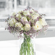 Captured in soft, natural light, a full bouquet of creamy white roses and delicate lavender statice stands in a simple, straight-sided glass vase on a pristine white surface, its elegance understated yet deeply expressive. Around two dozen roses, each one carefully placed, create a rounded silhouette; some blooms are tightly spiralled at the centre, their petals forming intricate whorls, while others have opened more broadly to reveal velvety layers and a suggestion of pale green along a few outer edges. Between these roses, fine stems of purple filler flowers, likely statice, thread their way through the design, bearing countless tiny florets that gather into a mist-like cloud of soft colour and texture. The glass vase is clear and unadorned, offering an unobstructed view of the straight green stems that criss-cross gently beneath the waterline, the water itself transparent and still, reflecting the care with which the bouquet has been arranged in a Brent Cross florist's studio near the shopping centre or the nearby residential streets. Light seems to filter in from a side window, perhaps looking toward Golders Green or Cricklewood, casting subtle highlights on the petals and creating feather-soft shadows that fall across the white surface. Behind the flowers, the background dissolves into blurred tones of light grey and white, evoking the tranquil interior of a modern Brent Cross home or a quiet room set aside for remembrance. The overall impression is of calm, purity, and thoughtful sympathy, making this arrangement ideal for expressing condolences, honouring a loved one, or offering gentle comfort to families in Brent Cross during sensitive moments.