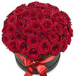 Bathed in even, gentle illumination, this opulent round arrangement features 50 to 100 premium red roses-each one bursting with velvety, dark crimson petals-tightly packed into a plush, domed shape that nearly overflows from the rim of a stylish matte black hatbox. Every rose seems to glow from within, their rich colour and layered softness celebrating the classic beauty associated with devotion and grand gestures. Ringing the box is a luxurious, vivid red satin ribbon, tied into a crisp, symmetrical bow with its knot set off by a subtle sparkling crystal or diamante detail for added sophistication. The entire composition is presented against a pure white background, which heightens the contrast and draws the eye to the careful pairing of deep reds and rich black. This arrangement, often chosen for romantic celebrations, milestone anniversaries, or simply to delight someone cherished in Brent Cross or the bustling precincts of Hendon Central, embodies the warmth and creativity of local florists who know how to translate emotion into flowers. A stunning statement piece, it's perfect for luxurious, same-day delivery within the area-offering elegance and lasting impact as only a bouquet crafted with genuine artistry and local knowledge can provide.