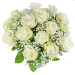 A serene, classic bouquet of roughly fifteen to twenty creamy white roses, arranged in a perfect rounded dome and photographed against a seamless white backdrop. The roses vary from tight buds to gently unfurling blooms, their velvety petals carrying the palest cream that deepens to a whisper of warm yellow at the heart; a soft wash of pale green shows on some outer guard petals, a fresh, living detail that speaks of newly harvested stems. Nestled between the larger rose heads are clouds of delicate white gypsophila - tiny star-like florets that float like winter mist, lending an airy, feathered texture and softening the silhouette. Fresh, glossy rose foliage peeks through between blossoms, vibrant greens that anchor the composition and make the whites read as pure and luminous. The lighting is bright and even, creating subtle shadows that reveal the powder-smooth surface of each petal and the fine, lace-like structure of the baby's breath; the isolated background keeps the eye on form, tone, and the quiet elegance of the design. As a florist I imagine the scent: a gentle, classic rose fragrance edged with the green freshness of cut stems and a whisper of meadow air from the gypsophila. This arrangement reads as an emblem of purity and calm - suited to a wedding bouquet, a tender sympathy tribute, or a refined gift to mark new beginnings. Locally, this style is popular for intimate ceremonies near Brent Cross Shopping Centre and for thoughtful deliveries to neighbouring streets in Hendon and Cricklewood, where understated floral confidence is always welcome.