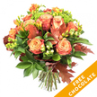 A lush, hand-tied autumn bouquet set against a crisp white background, the kind of arrangement a Brent Cross florist might place on a kitchen table as dusk softens the day. The composition is anchored by large, fully opened roses that move through a warm gradient - soft peach and apricot at their hearts graduating to coral, burnished orange and russet at the outer petals - each bloom layered like velvet brushstrokes. Interspersed among the roses are bright orange and yellow freesia sprays, their slender stems and fragrant, trumpet-shaped blossoms lending a bright, airy lift. Dark, glossy foliage - broad leaves and finer sprigs - forms a verdant cradle that makes the warm tones sing; clustered lime-green hypericum berries and tight heads of chartreuse Santini-style mums add crisp texture and a lively, modern punctuation. Several deep reddish-brown oak or maple leaves are tucked through the arrangement, their lobed silhouettes and matte surfaces evoking crunchy paths in local parks around Brent Cross and the nearby Brent Reservoir. The stems are neatly gathered and tied with natural jute twine, visible at the base and ready for a vase, suggesting careful florist craftsmanship. Soft studio lighting reveals velvety petals and crisp foliage contrasts while a diagonal orange banner overlays the bottom-right corner with bold white lettering that reads FREE CHOCOLATE, indicating a promotional add-on. This bouquet feels both festive and intimate - ideal for a Thanksgiving table, a birthday surprise, or a comforting gift to bring the calm warmth of autumn indoors for a friend or family member in Brent Cross and surrounding neighbourhoods.
