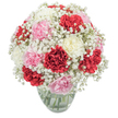 A bouquet as radiant as a Brent Cross morning graces the scene, masterfully crafted for those who treasure both tradition and surprise. Layered red, pale pink, and creamy white carnations unfold in plush, ruffled blooms, each one full of texture and vibrancy. Gentle clouds of baby's breath weave through the bouquet, their airy, snowy clusters imparting gentle movement and a sense of calm, much like the peaceful trails near Brent Reservoir. The flowers sit comfortably within a simple glass vase, its clarity showcasing the healthy green stems and glistening water inside. Illuminated by soft daylight, the bouquet bursts with life-each colour and form sharpened against the stark white backdrop. Intertwined scents of light spice and sweet cream evoke memories of breezy strolls through Brent Cross or thoughtful exchanges along Golders Green Road. Every stem is placed with intention, creating a cohesive, rounded shape well-suited for gifting, commemorating a special moment, or brightening a cozy kitchen table. This arrangement, with its blend of elegance and local charm, brings a touch of Brent Cross warmth wherever it travels.