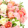 The image shows a lush bouquet of roses and carnations captured in close-up detail, the flowers gathered so tightly that they form a rounded, cushion-like mass of petals. Set against a pure white background, the arrangement feels almost suspended in light, allowing the soft pastel colours to stand out as clearly as directional signs and skylights inside Brent Cross station on a sunny day. The roses take centre stage, many of them fully open with wide, cupped forms and graceful spirals at their hearts. Their colours move gently from creamy ivory and the softest yellow to tender baby pink, warm peach, and light salmon-coral, creating a calm, romantic atmosphere. Between these larger blooms, small frilled carnations in light pink are tucked in closely. Their layered, ruffled petals add intricate detail and give the entire bouquet a plush, textural richness. Slim, pointed leaves in a deep green thread through the composition, breaking up the pastels just enough to keep the eye moving. A few unopened or partially opened buds appear among the fully bloomed flowers, serving as little reminders of freshness and of the bouquet's life over the coming days, whether it ends up on a table in a flat overlooking the North Circular or in a quiet living room in nearby Hendon. The lighting is bright but soft, highlighting the velvety surface of each rose petal and the gently rippled edges of the carnations without any stark shadows. The overall feeling is one of tender celebration and comfort, making this arrangement suitable for birthdays, anniversaries, new arrivals, or simply sending a warm, thoughtful message to someone special in the Brent Cross area.