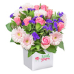 A lush, generously filled bouquet sits in a crisp white square box, its clean lines making the pastel blooms feel modern and fresh. The arrangement is dominated by soft pink roses-some tightly furled, others opening into full, velvety cups-whose fragrance is warm and gently sweet. Scattered between them are pale pink gerbera daisies, their many layered petals forming friendly, open faces with pale yellow-to-cream centres that catch the light. Sprays of deep purple limonium or statice thread through the design, their feathery clusters adding a cool contrast and a delicate, papery texture that gives the composition depth. A variety of glossy green foliage, from broad leaves to slimmer, textured stems, frames the flowers and gives the bouquet a natural, garden-fresh feel. The white box acts as a modern vase, its smooth surface and small decorative motif on the front creating a neat, contemporary silhouette against the plain white background. Soft, even lighting highlights the bloom shapes and the subtle tonal differences between the pinks, while a faint herbal scent from the filler flowers balances the sweeter notes of rose. This arrangement reads as quietly celebratory-ideal for birthdays, anniversaries, or a heartfelt thank-you-and its composition is crafted to look equally at home on a bedside table or a modern office desk. As a local touch, this is the sort of bouquet you might see delivered to neighbours around the Brent Cross Shopping Centre or left with a note for friends in nearby Cricklewood and Hendon, an accessible, elegant gift that carries a feeling of thoughtful care and seasonal freshness.