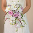 In this intimate bridal portrait, captured at eye level, the viewer is drawn directly to a sumptuous cascading bouquet held by a bride from Brent Cross, while everything beyond fades into a softly tinted, warm neutral blur. From the waist up, she wears a fitted white or ivory lace gown, its intricate filigree pattern visible on her sleeves and across her bodice, adding a refined framework that highlights the flowers in her hands. The bouquet is an opulent teardrop cascade, rich with a romantic palette of white, blush pink, lavender, and radiant fuchsia tones. At its heart are generous white Phalaenopsis orchids, their broad, velvety petals unfurling elegantly, each bloom displaying a soft yellow-gold centre that seems to capture a hint of natural daylight, like the gentle brightness along nearby Hendon Way. Between these orchids nestle tightly furled blush pink roses, full of layered petals that provide a plush, textured depth and a sense of classic bridal romance. Woven among them are clusters of lavender and pale purple stock flowers, their softly ruffled blossoms contributing a pastel haze and airy movement reminiscent of breezes through local parks and gardens. Scattered lightly through the arrangement, sprigs of white baby's breath offer a misty, ethereal touch that softens the transitions between blooms. To create a sense of motion and drama, vivid fuchsia or magenta trailing flower spikes, likely Amaranthus, flow gracefully down the length of the bouquet, giving it a fluid, rhythmic line ideal for a grand aisle entrance. At the lowest point, several unopened white orchid buds, petite lavender blooms, and slender green stems peek out, suggesting freshness and careful hand-tying by an experienced wedding florist providing bespoke bridal flowers for ceremonies in and around Brent Cross.