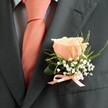 There's an effortless elegance in this classic buttonhole arrangement, captured against the structured backdrop of a charcoal suit - a familiar choice for Brent Cross weddings and milestone celebrations. The central bloom is a single rose, opening in layers of delicate peach and soft blush, petals edged in light as they unfurl with inviting warmth. Four strands of airy white baby's breath cradle the rose, their miniature flowers suggesting the freshness of dawn on Hampstead Heath, not far from Brent Cross. Sprays of green, slender and upright, together with a broader curling leaf, bring movement and a lively touch to the arrangement. At the boutonniere's base, a slim bow of shimmering peach satin echoes the coral tie below, binding flower and attire into a polished whole. The shirt's subtle blue-check pattern peeks discreetly from the suit's lapel, adding interest and poise. This subtle, softly fragrant adornment - handcrafted by local florists - serves not just as a finishing touch, but as a keepsake for the wearer: a symbol of joy, unity, and the enduring spirit of Brent Cross. Available for delivery to nearby venues or homes, it is styled with artistry for the moments that truly matter.