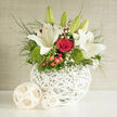 In this image, a rounded white wicker basket acts as a gentle frame for a lush mix of red, white, and green blooms, evoking the polished charm of a Brent Cross wedding reception. Rising from the heart of the arrangement, white lilies stretch upward, some just beginning to open their pale green buds, others fully unfurled with broad petals, revealing soft, creamy centres. Between them, rich red roses in various stages of bloom provide a dramatic contrast, their velvety petals folded tightly at the core and curling outward in layered swirls. At the base, vivid green dianthus, with its tufted, almost grassy appearance, softens the transition between basket and flowers, creating a cushion that recalls well-kept green spaces dotted around Brent Cross. Sprays of baby's breath weave through the bouquet, offering a delicate, lace-like texture that lightens the overall effect, while small clusters of glossy red hypericum berries nestle among the stems like tiny, jewel-toned accents. Slender, leafy greenery peeks out around the blooms, reaching over the rim of the basket and giving the piece a natural flow, as if the flowers are still growing. The white basket's woven surface adds a subtle pattern, echoing the artisanal feel of hand-made wedding décor often chosen for celebrations in local venues near Hendon and Golders Green. Soft daylight illuminates the arrangement, enhancing the crisp whites, saturated reds, and luminous greens, and casting gentle shadows that add visual depth. The mood conveyed is both serene and heartfelt, suitable for wedding collections, anniversary gifts, or thoughtful gestures of support delivered across Brent Cross and the surrounding North London neighbourhoods.