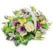 The photograph presents a carefully crafted funeral flower basket in a white, woven container with a curved handle, placed on a plain white surface and set against a seamless white background that allows the colours to stand out clearly. The design looks as if it has just been completed in a Brent Cross Flowers workshop, ready to be delivered to a service near Brent Cross Shopping Centre or to a family home along Hendon Way. At the heart of the arrangement sits a single creamy white rose, its soft, velvety petals spiralling open in a calm, centred bloom that communicates peace and remembrance. On either side, two deep purple calla lilies rise in gentle curves, their smooth, sculptural trumpets adding a sense of sophistication and quiet drama. Threaded through this central trio are numerous clematis-like blossoms in pale lavender and lilac, each star-shaped flower accented with a small yellow centre that lends a delicate, uplifting lightness to the overall palette. Around and between these blooms, small clusters of yellow and white, bell- or trumpet-shaped flowers-similar to freesia or alstroemeria-add subtle movement, texture, and hints of sunshine, keeping the arrangement from feeling heavy. On the right-hand side, a single magenta gerbera-style flower leans outward, its vivid, radiating petals drawing the eye and symbolising the vibrancy of a life remembered. The entire composition is nestled into a full bed of greenery: broad, glossy dark green leaves and fine, lighter green sprigs interlace to create a rich, verdant base. The overall effect is one of gentle elegance and comfort, an arrangement that would look fitting at a Brent Cross remembrance gathering or as a thoughtful condolence gift to bring a touch of natural beauty into a grieving household.