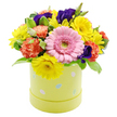 This Easter-themed hatbox arrangement glows with the spirit of spring in Brent Cross, captured against a clean white background that lets every colour and texture stand out. The bouquet is designed in a compact, domed shape, the flowers closely clustered to create a sense of abundance, like a small, cultivated patch of garden in full bloom. At the centre, a large pink gerbera daisy provides the main focal point, its soft, slightly satiny petals layered in a neat circle around a pale green centre that feels both fresh and calming. Surrounding it are generous clusters of bright yellow chrysanthemums, their fine, radiating petals forming lively, daisy-like faces that bring an immediate sense of joy and energy, not unlike a sunlit afternoon stroll near Hendon Way. Nestled among these sunny blooms are ruffled coral-orange carnations, whose deeply layered, frilled petals add plushness and warmth, inviting the eye to linger on their texture. Deep violet-purple lisianthus blossoms punctuate the arrangement, their velvety petals and deeper tones lending contrast and a touch of elegance that keeps the design from feeling overly sweet. A mix of green foliage frames the flowers, some leaves a solid, glossy green, others edged with pale variegation, giving gentle definition and a natural, garden-inspired structure. The flowers sit within a pastel lime yellow-green cylindrical hatbox, whose surface is sprinkled with small pastel Easter eggs in soft shades of blue, pink, and white, some delicately decorated with dots or stripes that quietly underscore the seasonal theme. The composition feels joyful yet refined, making it an ideal choice for an Easter table, a springtime thank-you, or a thinking-of-you gift delivered locally around Brent Cross, bringing a burst of fresh, optimistic colour indoors.