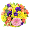 In this top-down photograph, a round, tightly gathered bouquet is displayed on a pure white background, its colours and shapes forming a harmonious, almost kaleidoscopic pattern. The bouquet's energy begins with bright yellow chrysanthemum daisies that dominate the design; their numerous slim petals, radiating from soft green-yellow centres, create a sense of cheerful brightness and uncomplicated joy. Threaded among them are opulent lisianthus blooms in shades of deep indigo and violet, their velvety petals curling and folding to reveal glimpses of golden stamens in the open flowers, while the buds add touches of vertical interest. Coral-orange carnations are dotted throughout, bringing a playful, frilled texture that softens the transitions between yellow and purple and introduces a warm, inviting tone. Slightly toward the bottom of the circular arrangement, a large pink gerbera daisy holds centre stage, its symmetry and pastel petals drawing attention toward a textured central disk that shifts from green to yellow, giving it a fresh, modern look. Around the colourful heart of the bouquet, rich green foliage and a few leaves with pale, creamy edges act as a gentle frame, echoing the greenery found in local parks and residential gardens around Brent Cross. The lighting is bright and even, ensuring each petal and leaf is clearly defined, making the bouquet appear newly arranged and ready to be delivered. The feeling this design conveys is one of lively celebration and sincere affection, an ideal choice for sending warm wishes, congratulations, or a simple thinking of you to friends, family, or colleagues in the Brent Cross area.