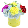 A vibrant, cheerful bouquet spills from a round pastel-yellow hatbox, shown against a crisp white background so every petal and hue reads clearly. At the heart of the arrangement sit two large, ruffled yellow carnations - their lemon-bright faces layered with delicate frills that catch soft light and suggest a faint, spicy sweetness when imagined up close. Surrounding those sunny centres is a cloud of periwinkle-blue hydrangea florets, each tiny petal forming a plush, cushion-like texture that contrasts the carnation's ruffles with whisper-soft cool tones and hints of pale sky blue. To the left a bold magenta carnation blooms with saturated depth, its pleated petals folding inward like velvet, while a rich crimson carnation on the right balances the composition with warmth and dramatic colour. Slender sprigs of fresh green foliage peek through between the blooms, adding natural movement and a crisp, living contrast to the rounded forms. The hatbox itself is a soft lime-yellow paper cylinder, playfully decorated with irregular pastel polka dots in light blue, soft pink and pale green, some speckled with tiny white flecks - a detail that gives the gift-box a springtime, celebratory feel. The overall dome-shaped silhouette reads as intentionally full and generous, a crafted composition meant to evoke joy, gratitude and bright celebration. This compact, polished presentation is the kind of floral gift one might send to a friend across Brent Cross to celebrate a birthday, a new baby or simply to lift someone's day, with an assurance of freshness and thoughtful arrangement from a local florist's touch.