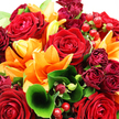 This image captures a lush, hand-tied bouquet that seems to glow from within, its deep reds and radiant oranges echoing the lively energy around Brent Cross. Large, fully open red roses sit at the heart of the arrangement, their velvety petals tightly layered in elegant spirals that speak of romance and care. Around them, bright orange lilies unfurl into wide, star-shaped blooms, their petals gently curling at the edges, creating a sense of upward lift and celebration, as if greeting the daylight filtering over nearby Brent Cross roads. Between the main flowers, smaller crimson and burgundy rosebuds peek out, some still buttoned closed, others just beginning to open, adding nuanced depths of colour and a feeling of unfolding stories. The entire composition is wrapped in generous green foliage: broad, glossy leaves cup and support the blooms, while finer, lighter stems thread through, lending softness and movement. One striking leaf in the foreground arcs gracefully toward the viewer, subtly pointing the way into the bouquet's centre. Dotted throughout are polished, ruby-red hypericum berries, round and gleaming on thin green stems, adding playful texture and a slightly festive note. Bright, gentle lighting highlights tiny reflections on the petals and berries, giving the impression of fresh dew and freshly cut stems, ready for delivery across Brent Cross and neighbouring areas. The overall impression is one of warmth, abundance, and joy-a bouquet perfectly suited for a passionate anniversary surprise, a congratulations gift, or simply adding a luxurious splash of colour to everyday life in North West London.
