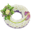 A serene, circular sympathy wreath sculpted from a dense cloud of small white chrysanthemums rests against a clean white background, the tiny florets tightly packed to create a soft, almost velvety surface that reads as quiet and pure. Beneath the white mass a whisper of deep purple netting or fine mesh peeks through along the inner rim, lending shadow and subtle colour without breaking the calm of the composition. On the upper-left quadrant a compact cluster of foliage and blooms gives the wreath its tender focal point: a single cream-to-pale-yellow rose opens gently at the centre, its petals luminous and slightly dewy in soft daylight. Surrounding the rose are broad variegated leaves with pale margins and feathery fern fronds that add movement and a cool green contrast, while delicate sprigs of lavender-hued statice thread through, their papery texture and muted scent echoing the hidden purple underlayer. To the right, from roughly two o'clock to five o'clock, two elegant calla lilies arc gracefully across the chrysanthemum field; their trumpet-shaped blooms show a refined gradient from deep, muted purple at the tips to a soft peach-pink or blush near the base, their bright green stems curving naturally along the lower-right arc and visually linking the two main groupings. A single longer green stem stretches from the left cluster and is discreetly secured across the lower section toward the callas, a subtle line that unites the design. The whole arrangement conveys dignity and tenderness-an enduring tribute suited for a funeral or memorial, offered with the hush of sympathy and the calm confidence of an experienced florist in Brent Cross and the surrounding neighbourhoods.