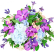 Captured against a pure white background, this elegant bouquet feels like a small universe of colour and form gathered into one generous handful. Dominating the composition are lush, rounded clusters of powder-blue hydrangeas, their many layered florets overlapping to form a soft, cloud-like texture that radiates calm, not unlike the open sky glimpsed above the rooftops around Brent Cross. Rising through this tranquil base, opulent Vanda orchids in vivid fuchsia and deep purple create bold focal points; each orchid displays an intricate pattern of darker violet speckles and veins across its broad petals, suggesting something rare and meticulously chosen. Between these larger blooms, clusters of dainty spray roses in blush pink and cream nestle in, some tightly furled, others beginning to open, contributing a gentle, romantic charm that feels intimate and heartfelt. Threading delicately through the bouquet, slender clematis stems bear star-shaped flowers painted in shades of indigo and lavender, their light, airy structure extending beyond the main dome of hydrangeas to introduce movement and a touch of wild grace. Surrounding and supporting the flowers, lush emerald-green foliage with varied leaf shapes wraps the arrangement, adding depth, contrast, and a sense of natural abundance. The bouquet is composed in a rounded, slightly overflowing style, suggesting generosity and celebration while maintaining balance and elegance. Soft, even lighting reveals the fresh textures and natural sheen of each petal and leaf, making it easy to imagine this piece gracing a dining table in a Brent Cross apartment or being handed over as a special anniversary or congratulations gift. The overall impression is one of sophisticated joy, crafted with care by a skilled local florist and ready to brighten homes and occasions across the neighbourhood.