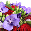 This image showcases a lavish purple and red bouquet that seems perfectly at home in the vibrant surroundings of Brent Cross, whether as a centrepiece for an intimate dinner or a romantic surprise delivered to a nearby apartment. At the heart of the design are striking Vanda orchids, with petals in layered hues of lavender, lilac, and deep violet, each flower detailed with fine, darker speckles that give it a luxurious, almost patterned-silk appearance. Nestled against these orchids are velvety crimson roses, their petals curled in tight spirals that convey richness and deep emotion. Threaded among them are clusters of deep purple lisianthus, displaying a mix of fully open, softly ruffled blooms and graceful buds edged in pale lime green, capturing a moment partway through their natural unfolding. A generous surround of lush emerald green foliage frames the flowers, the leaves catching soft, diffused light and guiding the eye around the arrangement. Delicate sprigs of light chartreuse filler and textured greenery peek between the larger blooms, adding brightness and giving the bouquet a full, abundant look without feeling heavy. The lighting is gentle and natural, emphasizing the contrast between the cool purples and the warm reds while preserving a sense of softness and romance. The overall mood is one of refined opulence and heartfelt sentiment, ideal for anniversaries, Valentine's Day, or any special occasion where Brent Cross Flowers might deliver a truly memorable expression of love and appreciation across the local North London area.