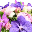This elegant bouquet, photographed against a pure white background, seems to hover like a soft, fragrant cloud, its colours and textures reminiscent of a refined arrangement prepared at Brent Cross Flowers for a special local delivery. Dominating the design are luxurious Vanda orchids, their generous petals unfolding in shades of lavender and deep royal purple, each bloom delicately etched with a fine, netted veining that adds depth and visual intrigue. Around these striking orchids, peonies in full, romantic bloom create a sense of plush abundance, their layered petals drifting from a barely-there ballet pink at the edges into a warmer blush rose hue at the centre, giving the impression of gentle movement and warmth. Interspersed among the peonies are pink roses, some still held in neat, rounded buds, others fully opened to reveal their spiral of petals, bringing a familiar, timeless beauty often seen in bouquets carried through the busy walkways of Brent Cross Shopping Centre or delivered to nearby homes for anniversaries and birthdays. Threaded delicately throughout the arrangement are small white pom-pom chrysanthemums or similar dainty blossoms, their spiky, rounded heads lending a sparkling freshness and airy texture that contrasts beautifully with the plushness of the larger blooms. Encircling it all is a collar of rich foliage, featuring glossy dark green leaves and a few pale-edged, variegated stems that add a natural, garden-like frame and deepen the sense of fullness. The bouquet feels dense yet thoughtfully composed, exuding an air of quiet luxury and heartfelt care, ideal for marking love-filled occasions, celebratory dinners, or simply bringing a refined touch of colour and fragrance into homes and offices across Brent Cross and the surrounding NW London neighbourhoods.