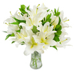 A lavish, gallery-style bouquet of pure white lilies fills this image, arranged with artisanal care in a clear, gently flaring glass vase and set against a flawless white background. The eye is drawn to the lilies' broad, smooth petals as they unfurl in layered, trumpet-like forms; the white is crisp and luminous, with a whisper of creamy yellow deep in each throat that gives the blooms a warm, soft center. From several open flowers long, slender stamens extend-pale greenish-yellow filaments crowned by earthy brown anthers dusted faintly with pollen-adding delicate architectural detail against the pristine petals. Interwoven among the blossoms are numerous lance-shaped, glossy leaves in a deep, verdant green; their rich texture and upright lines reinforce the bouquet's fullness and provide a natural counterpoint to the blooms' softness. The vase's transparent glass reveals neatly trimmed, pale green stems submerged in clear water, the light catching tiny reflections and underscoring the arrangement's freshness. A subtle floral scent seems almost imaginable-a soft, sweet lily perfume that would wash through a tranquil room like a comforting exhale. This composition reads as both refined home décor and a solemn, respectful tribute: its purity and calm suit moments of remembrance, quiet celebration, or a thoughtful gift for someone in need of peace. As a florist who arranges seasonal stems for clients in and around Brent Cross, I picture this bouquet on a mantel in a Hampstead flat or as a simple, dignified display at a neighbourhood memorial, offering clarity and comfort through elegant form and gentle scent.