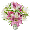 A lavish bouquet of oriental lilies fills the frame, a careful study in creamy whites and deep fuchsia-pink tones arranged in a simple clear glass vase. The composition reads like a floral portrait: many lilies have unfurled into wide, trumpet-like faces, their satiny petals curling back to reveal slender stamens tipped with pale anthers, while others remain elegant, pointed buds poised to open. The white lilies are a soft, warm off-white with faint yellow-green throats that catch the light, and the pink blooms range from rose to rich magenta, some showing delicate veining or a paler cream centre that gives each petal depth. Dark green, lance-shaped foliage threads through the arrangement, its glossy blades providing a crisp, natural frame that makes the petals sing. The glass vase at the base is transparent and modest, letting the cut stems and clear water be visible-an honest detail that underscores the bouquet's freshness and the florist's care. Bright, even studio lighting softens shadows and draws out the lilies' delicate texture and subtle scent, a lightly sweet perfume that suggests spring mornings and quiet celebrations. As an experienced florist might say, this arrangement balances sculptural form with tender softness, suited to birthdays, anniversaries, or simply lifting the mood of a room. For anyone in Brent Cross or nearby Cricklewood and Hendon, this classic lily bouquet offers both refined beauty and long-lasting bloom, a bouquet that feels both luxurious and warmly familiar at home or on the mantelpiece.