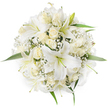 Seen from a soft overhead angle against a clean white backdrop, this hand-tied, perfectly round bouquet reads like a study in white and cream. Large white oriental lilies take centre stage with their trumpet-shaped petals opened wide and the faint green of their stamens visible at the heart; around them sit creamy, tightly furled roses, some in bud and others gently unfurling to reveal velvety layers. Fine sprays of white Baby's Breath (Gypsophila) drift between the larger blooms, creating a cloud-like softness that breathes light into the composition, while a few vivid green leaves peek from beneath the petals to give a fresh, living contrast. The bouquet's dense, symmetrical form and monochrome palette catch subtle, even light so that textures - the lilies' satiny sheen, the roses' plush curls, the Baby's Breath's feathery sprays - are easy to imagine. There is a delicate scent suggested by the arrangement: the lilies' sweet, honeyed perfume balanced by the gentle, classic smell of roses and the airy freshness of green foliage. The overall mood is one of purity and quiet celebration - an ideal bridal posy, elegant centerpiece, or a thoughtful gift for christenings and anniversaries. As a local florist's composition suited to Brent Cross, this bouquet would travel well to nearby streets and homes around Brent Cross Shopping Centre, Cricklewood and Hendon, arriving with the kind of careful handling that preserves bloom shape and scent for treasured moments.