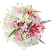 Against a stark white studio background, this lavish bouquet forms a perfect rounded mound of colour and texture, reminiscent of a showpiece ready to leave Brent Cross Flowers for a same-day delivery nearby. Large white lilies command attention at the centre, with trumpet-shaped blooms that flare outward, each petal smooth, broad, and gently curled at the tip, revealing pale green throats and subtly dusted stamens. Around and between these lilies, blush pink roses and creamy white roses weave a soft, romantic story, some buds still tightly wrapped while others are fully open, displaying plush, velvety layers that invite the imagination to feel their softness. Piercing through the more delicate tones are vibrant fuchsia Oriental lilies, similar to classic Stargazer flowers, their rich magenta petals dotted with darker speckles and framing bold yellow anthers that provide a sunny accent. Wispy clusters of white gypsophila drift through the bouquet, like tiny clouds resting among the larger blooms, lending a light, airy counterbalance to the strong lines of the lilies and the rounded forms of the roses. Flickers of fresh green foliage are visible at the edges and between blossoms, giving the design a natural, garden-inspired feel, like walking past flowering borders in nearby Hendon Park. Bright, even lighting ensures every colour is true and every texture clear, from satiny lilies to the fine, feathery baby's breath. The bouquet feels joyful yet refined, ideal for anniversaries, romantic gestures, or special celebrations across Brent Cross and the surrounding NW London neighbourhoods, where a single arrangement can fill a room with beauty and heartfelt sentiment.