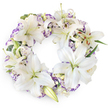 A tranquil sympathy wreath of white and purple tones is shown laid on a pure white surface, its circular shape crisp and clearly defined. The wreath is generously filled with large white Oriental lilies, which are arranged so that their star-shaped blooms radiate evenly around the ring. Some lilies are fully open, displaying smooth, gently recurved petals that reveal inner throats washed with soft green, while others remain in bud, pale and elongated, promising to unfold. Visible at the heart of the open lilies are fine filaments and dark, pollen-rich anthers that lend a hint of warmth to the predominantly cool palette. Threaded throughout the wreath are lisianthus blossoms, whose layered, frilled petals give a sense of softness and gentle movement. Their white petals are brushed at the edges with lavender and deeper purple hues, creating a muted, elegant contrast that never overwhelms the serenity of the design. Backing the flowers is a quiet framework of rich green foliage, with slender leaves and subtle eucalyptus-style sprigs emerging in discreet patches to offer depth and structure. The overall mood of the piece is calm, reflective, and dignified, as though it might be placed beside a casket, an urn, or a photograph at a service in Brent Cross, Cricklewood, or Temple Fortune. The unbroken ring suggests continuity and eternal love, while the choice of white lilies and purple accents expresses purity, respect, and gentle mourning. This thoughtfully composed wreath feels like a heartfelt floral embrace for families in North West London saying a final goodbye.