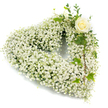 A serene heart-shaped wreath built almost entirely from a billowing mass of white gypsophila (baby's breath), its thousands of tiny blossoms so closely clustered they read like a soft, clouded fabric. The overall silhouette is a classic rounded heart; up close the texture is airy yet dense, the minuscule florets catching light like powdered pearl. Toward the upper right curve a single creamy-white rose rests gently, its petals curled into a tidy spiral that becomes a quiet focal point against the sea of white. Around and beneath that rose a few sprigs of deep, glossy green ivy - with the familiar lobed leaves of variegated varieties - and slim, silvery-green stems reminiscent of eucalyptus weave through the gypsophila, cascading down the right side to add natural movement and a cool tonal contrast. The whole composition sits against a stark white background so every delicate petal and leaf edge reads clearly: the tiny stars of baby's breath, the smooth, satiny rose, the waxy sheen of the ivy, and the fine, slightly aromatic foliage. There is a hushed, respectful mood to the piece - subtle scent of fresh flowers, a soft visual hush that suggests comfort and remembrance. It reads as a sympathy or funeral tribute designed to convey purity, tender affection, and calm dignity. As assembled by an experienced florist, the arrangement balances symmetry and organic flow, offering a visual embrace suited to memorial services or quiet moments of reflection in the Brent Cross area and nearby neighbourhoods.