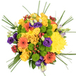 In this top-down view, the bouquet appears as a sumptuous, rounded medley of blooms centred on a clean white background, the kind of thoughtfully balanced arrangement you might receive from Brent Cross Flowers on a special day. At the core, golden yellow roses bloom in gentle spirals, their overlapping petals creating a plush, velvety texture that radiates warmth and comfort. Interwoven among them, large yellow chrysanthemums expand into fluffy spheres, made of countless fine petals that give a rich, tactile softness, forming a glowing, sun-like centre. Breaking through this golden field, bold orange gerbera daisies display their flat, ray-like petals around dark central eyes, adding a vibrant, contemporary edge that immediately draws attention, like bright signage along the main roads of Brent Cross. Tucked into the spaces between larger blossoms, neat clusters of lime green button chrysanthemums create compact, cushion-shaped accents, their sharp, fresh green lending a crisp contrast that feels lively and modern. Threaded through the bouquet, deep purple lisianthus blooms and buds introduce a jewel-toned counterpoint; the open flowers reveal smooth, slightly ruffled petals, while the closed buds add slender vertical notes and a suggestion of ongoing bloom. Small bunches of glossy red hypericum berries are scattered with intention throughout, their rounded, waxy forms gleaming softly and bringing hints of berry-rich colour. Fine strands of bear grass curve outward and upward from the bouquet's perimeter, lending fluid, graceful lines that keep the design airy despite its abundance. The overall mood is one of cheerful celebration and thoughtful artistry, ideal for birthdays, congratulations, or simply bringing a burst of colour into a home or office around Brent Cross, from quiet residential streets to lively commercial spaces.