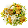 Captured against a spotless white background, this bouquet feels like a handful of autumn sunshine carefully arranged by an expert Brent Cross florist. At its core are several large chrysanthemums, each bloom rich with layered petals that create plush, rounded shapes in shades of golden yellow, deep bronze, and vibrant orange. A few stand out with their unusual, brain-like texture: petals fold and curve into tight, rippling forms coloured in mustard and dark brown, lending the arrangement a distinctive, almost sculptural character. Cradled among these opulent blooms are four or five creamy white roses, their velvety petals spiralling softly from the centre, embodying a calm, classic beauty that gently tempers the fiery tones nearby. Between the larger flowers, small white daisy-like clusters with sunny yellow centres-similar to feverfew or chamomile-pepper the bouquet, bringing a playful, airy lightness and a hint of countryside charm to the design, as if inspired by a walk through green spaces off Hendon Way. Fine sprays of lime-green filler, resembling solidago, weave through the composition, providing feathery texture and fresh colour contrast that keeps the palette bright and lively. The flowers are arranged into a neatly rounded, generous dome, showing a careful hand that ensures each bloom is visible and the bouquet feels full from every angle. The immaculate white background and gentle, even lighting place total focus on the flowers, emphasizing their varied textures and harmonious autumn palette. This arrangement conveys warmth, comfort, and quiet celebration, making it ideal for birthdays, get-well wishes, or heartfelt congratulations delivered to homes and workplaces in and around Brent Cross.