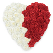 An overhead, heart-shaped composition of tightly packed carnations, presented against a clean white background so every petal reads clearly. The left half of the heart is a plush field of creamy, off-white carnations whose ruffled, layered petals create a soft, pillowed surface; the right half answers in saturated, velvety red blooms, their deep tones bringing heat and intensity to the shape. The two colour fields meet along a vertical seam that is sculpted rather than straight-a slightly serrated, saw-tooth line that gives the silhouette an unmistakable flag-like cadence reminiscent of Bahrain's white-and-red motif. Each carnation's frilled edge and delicate central folds are visible, the tactile texture almost audible in its ripples. Soft, diffused light catches the petal edges and lends a whisper of shadow into the crevices, suggesting the faint, green stems tucked beneath the mass of flowers. The arrangement feels both celebratory and reverent: a floral emblem of national pride, a symbol for civic celebrations, or a composed tribute for a solemn occasion. As a local florist who knows Brent Cross and neighbouring Cricklewood, I picture this heart on a simple easel in a community hall near the shopping centre or as a striking tribute laid at a civic ceremony in Hendon. The simplicity of the white backdrop keeps the focus on colour, texture and intent-love, loyalty and shared identity-while the craftsmanship speaks to careful, patient hand-work. Its scent would be quietly sweet, the carnations' peppered perfume soft against the visual statement, offering consolation and warmth in equal measure.