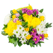 This lively bouquet, set against a plain white background, bursts with a cheerful mix of yellow, white, and purple flowers, arranged in a full, compact dome that feels both joyful and comforting, like a thoughtful surprise delivered to a Brent Cross doorstep. Dominating the arrangement are bright yellow chrysanthemums, their many layers of petals forming plush, round blooms that catch the light and set a sunny, optimistic tone. Threaded through these are small clusters of yellow spray roses, some still tightly closed and others beginning to open with spiralled centres, bringing a classic elegance and a hint of soft fragrance to the composition. White daisy-style spray chrysanthemums, each with a light green centre, are scattered throughout, their crisp petals adding freshness and a sense of simple, natural beauty that echoes the look of cottage-style gardens around Brent Cross. Deep magenta and rich purple daisies create striking accents, their bold colours and yellow centres adding depth, contrast, and a playful touch that keeps the bouquet from feeling too traditional. Here and there, gentle notes of pastel pink or lavender petals soften the transitions between the stronger hues, lending a subtle romantic undertone. All of the blooms are cradled by a generous collar of dark green, glossy foliage, likely Ruscus or Salal, whose smooth, elongated leaves frame the flowers and enhance the sense of abundance and fullness. The bouquet radiates warmth, gratitude, and celebration, making it ideal for birthdays, get-well messages, or simple thinking of you moments shared with friends, family, or colleagues living or working in and around Brent Cross, where a burst of colour can brighten even the busiest day.