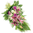 Against a bright, uncluttered white background, an elongated sympathy spray unfurls from the gathered stems at the upper left down to a graceful point of cascading greenery at the lower right, its gentle diagonal line reflecting the quiet movement of a final farewell in Brent Cross. The central focus is a group of expressive Stargazer lilies, their generous petals coloured in rich fuchsia-pink, edged in clean white and scattered with deep burgundy speckles. Some lily blooms curve fully open, revealing their stamens, while others remain in smooth, greenish buds tinged with pink, suggesting both the fullness of a life and memories that continue on. Interlaced with these are vivid magenta gerbera daisies, their lively, symmetrical faces adding warmth and a sense of affectionate remembrance. Creamy white roses, some tightly budded and others gently unfolding, bring an aura of purity, respect, and quiet hope, while ruffled white carnations create a soft, comforting underlayer, their textured petals evoking tenderness. Tiny white daisy-like filler flowers are sprinkled throughout, adding delicate flickers of light that soften and unify the design. The flowers are framed by ample greenery: broad, glossy dark green leaves provide a strong base; fine fern fronds reach outward with feathery grace; and long, slender leaves extend and cascade towards the bottom right, emphasising the teardrop form and adding a feeling of flow. The stems are carefully tied at the top left, showcasing the skilled craftsmanship typical of local florists serving the Brent Cross community, from nearby Hendon to Temple Fortune. This arrangement radiates calm dignity and heartfelt sympathy, making it an appropriate choice for funerals, memorial services, and quiet moments of remembrance throughout the Brent Cross area.