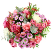 The image presents a lush bouquet photographed from directly overhead, its full, rounded shape framed by a simple white background that lets the colours shine. At its core, open roses in shades of deep fuchsia and tender blush pink are the main focus, their velvety petals unfurling in generous spirals, some gently tipped with a creamy, almost ivory hue. Around these roses, plump peach-pink carnations add volume and a wonderfully soft, ruffled texture, giving the impression of layers upon layers of delicate fabric. Punctuating the arrangement are petite, daisy-like chrysanthemums, each bloom a neat lavender-purple circle with a vivid lime-green centre that brings a bright, lively accent. Cream and off-white filler flowers are woven in among the richer tones, creating lighter pockets that soften the composition and provide balance. The foliage is varied yet harmonious: round, silvery eucalyptus leaves arc gracefully around the blooms; deeper, glossy green leaves offer structure; and unusual reddish-pink variegated leaves introduce a warm, contemporary twist that ties the colours together. The bouquet appears freshly made, every stem neatly gathered, as though it has just left a Brent Cross florist's workbench for local delivery to a home near the shopping centre or along Hendon Way. Soft, even lighting bathes the flowers, enhancing the contrast between smooth rose petals, the feathered edges of carnations, and the crisp, tidy discs of the mini chrysanthemums. The overall feel is joyful and tender, ideal for birthdays, anniversaries, or simply bringing a burst of colour and fragrance into a Brent Cross living room or office.