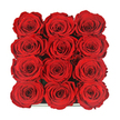 Viewed from above, this photograph showcases a dramatic, almost hypnotic arrangement of twelve red roses, set in a precise 3x4 grid within a low, dark presentation box that nearly disappears into the background. The roses themselves are the undeniable stars: each bloom is fully open yet still structured, with petals that curl inward in tight, layered spirals, giving the impression of endless depth when you gaze into their centres. Packed closely together so that their velvety heads gently press against one another, they form a seamless field of rich crimson that fills the frame, the colour shifting subtly from brighter ruby along the petal edges to deeper wine tones within the folds. A thin glint of the box's glossy rim peeks out at the bottom, suggesting the kind of thoughtful packaging you might receive from a local florist preparing a special delivery to a flat near Brent Cross station or one of the residential streets leading down towards Cricklewood. The lighting is soft and even, with no harsh shadows, allowing the natural texture of each petal to show-a faint sheen where the light catches, a smooth, suede-like finish where it recedes. The effect is both intimate and grand, as though opening this box would release a quiet rush of classic rose fragrance and emotion. This arrangement feels perfect for a private celebration, a deeply personal Valentine surprise, or an anniversary gift sent across NW London, where saying I love you requires nothing more than a perfect dozen red roses presented with elegance and care.