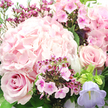 The image offers a close, almost tactile glimpse into a hand-tied pink bouquet that feels as if it has just been delivered to a doorstep near Brent Cross Station. A large, rounded head of blush hydrangea anchors the composition slightly to the upper left, its clustered petals forming a soft mass that suggests both volume and delicacy. Flanking and encircling this central bloom are roses in deeper blush and dusty rose tones; one rose in the lower left is particularly striking, its spiralled heart opening in measured rings, while another on the mid-right mirrors its form, creating a sense of visual balance. Laced between the larger flowers are clusters of tiny fuchsia and magenta blooms, likely waxflower or phlox, whose starry or five-petaled faces with darker centres contribute lively specks of colour and detailed texture, almost like confetti scattered among the petals. On the lower right edge, a pastel lavender, bell-shaped flower reminiscent of campanula leans gently outward, adding a cool lilac-blue note that softens and enriches the pink palette. The bouquet is embraced by lush, dark green foliage, with slender stems and glossy leaves weaving in and out, providing structure and a fresh garden-like feel, much like the pockets of green dotted around the Brent Cross area. Soft, natural light bathes the flowers, highlighting the velvet of the roses, the plushness of the hydrangea, and the fine veins in each petal. The arrangement conveys a mood of quiet romance and tender care, ideal for intimate celebrations, thoughtful get-well messages, or simply bringing a moment of calm beauty into someone's home nearby.