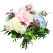 A soft, romantic bouquet of hydrangeas is shown against a clean white background, its rounded silhouette and pastel colours captured with a clarity that suggests a professional arrangement prepared for a Brent Cross address. At its centre are large, spherical hydrangea heads in tender baby pink, serene sky blue, and warm cream white. Each hydrangea head is densely covered in small, overlapping petals, giving the bouquet a luxuriously plush texture that evokes cushions of cloud and early summer gardens. The pink blooms add a note of affection and sweetness, while the blue hydrangeas bring a cooling calm, much like stepping away from the busy junctions around Brent Cross into a quiet, leafy street. The creamy white hydrangeas provide light and lift, unifying the palette and giving the bouquet a refined, timeless character. Woven among the larger flowers are slender stems of tiny, star-like filler blooms in vivid magenta or rich fuchsia, providing sparkling points of colour that play gently against the softer pastel hydrangeas. Around the outside, a generous mix of lush green foliage frames and supports the flowers, with broad, glossy dark green leaves and smaller, softer green sprigs filling in the spaces and creating pleasing depth. The stems are drawn together and tied firmly at the base, forming a neat, radial base that marks the bouquet as a carefully crafted, hand-tied design. The overall effect is one of gentle celebration and quiet joy, a bouquet that would sit beautifully on a coffee table in a Brent Cross flat, brighten a local office reception, or carry thoughtful wishes to a loved one anywhere across North West London.