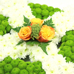 A serene funeral cross with a soft Irish accent is displayed, as if ready to be delivered to a church or crematorium near Brent Cross. The form of the cross is entirely cloaked in white chrysanthemums, their petals layered in gentle ruffles that turn the shape into a plush, pillowed bed of blooms. This unbroken stretch of white exudes calm and purity, ideal for a service of farewell. Accented against this pale background, rounded tufts of vivid green button chrysanthemums appear at the ends of the cross's arms and along the lower portion, their domed, textured heads resembling small cushions of moss or garden clover. The fresh green tone adds life and contrast, reminiscent of the greenery around Brent Cross's residential streets and open spaces. At the very centre, three roses in warm tones of orange and golden yellow gather closely together, their velvety petals unfolding in neat spirals. They create a focal point that feels gentle yet hopeful, as if offering a quiet glow in the midst of loss. Around this trio, slender fern fronds and touches of bright green filler radiate outward, adding movement and a slightly wild, woodland note that softens the cross's clean lines. The balanced palette of white, green, and orange quietly reflects Irish heritage while remaining understated and tasteful. Overall, the arrangement looks like a lovingly composed tribute a Brent Cross florist would prepare for families saying goodbye, combining craftsmanship and sensitivity in a piece meant to convey peace, remembrance, and enduring love.