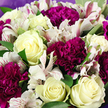 The photograph showcases a beautifully crafted hand-tied bouquet, captured so closely that blossoms and leaves entirely fill the frame, suggesting the invigorating sight of fresh flowers delivered in Brent Cross. At its centre and throughout the design, creamy white roses are the stars; their petals are tightly wound near the core before opening in smooth, velvety spirals, with a few blooms revealing a faint blush of pale yellow deep inside. Between these roses, deep magenta and rich purple carnations introduce depth and drama, their densely ruffled petals overlapping to create plush, rounded heads with a tactile, almost fabric-like richness. Threading through this interplay of cream and berry tones, white alstroemeria - or Peruvian lilies - offer a more delicate structure, each flower formed of slim petals that curve outwards and are decorated with fine pink and burgundy streaks and little speckles, bringing intricate detail and a lightly wild charm. The flowers are cradled by fresh green foliage, with broad, smooth leaves emerging between clusters of blooms, shaping the bouquet and providing cool green intervals that allow each individual flower to stand out. Around the outer edges and slightly above some blossoms, a soft lavender wrapping paper peeks in, its subdued purple shade harmonising with the carnations and discreetly framing the arrangement. The gentle, even lighting suggests natural daylight filtering through a Brent Cross window, highlighting the gentle contrasts of ivory, cream, magenta, and green. The overall impression is one of tranquil sophistication and quiet joy, a bouquet that feels right for saying thank you, celebrating a special day, or bringing a sense of calm beauty into a home near the North Circular or the shopping centre.